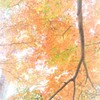 見上げれば・・・