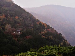 大悲閣・千光寺