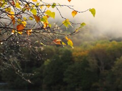 奥日光の秋⑤