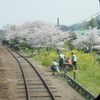 小湊鉄道の桜