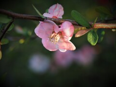 笑顔でスタート♪