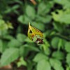 蜘蛛の糸から