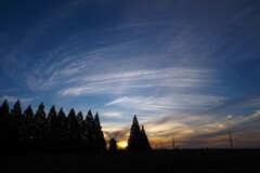 夜明けの風車