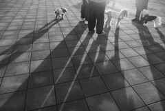 夕方のミーティング