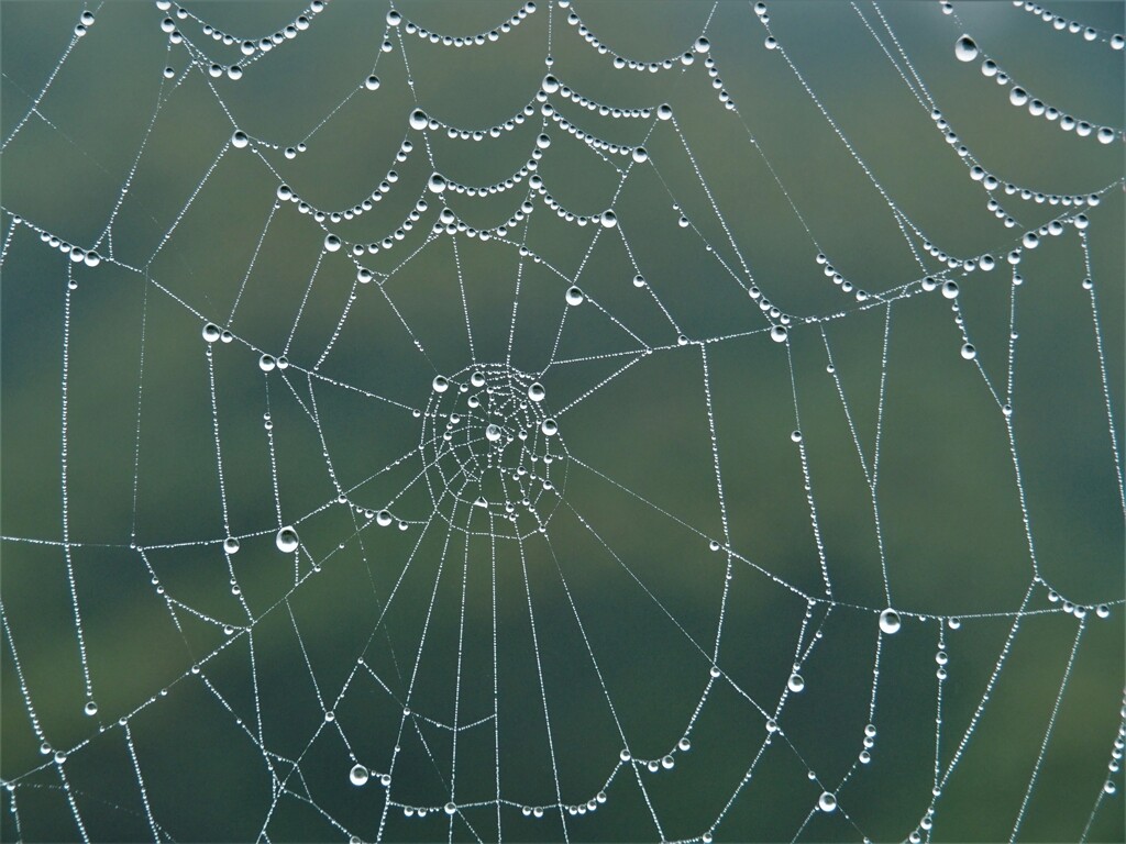 今日のドレス☆☆