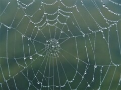 今日のドレス☆☆