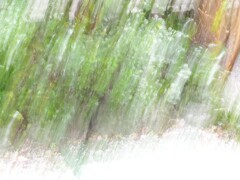 春の嵐