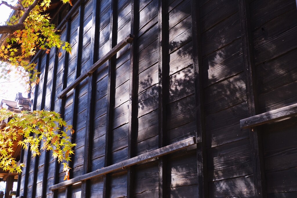 蔵に寄り添う紅葉