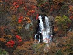 霧降ノ滝