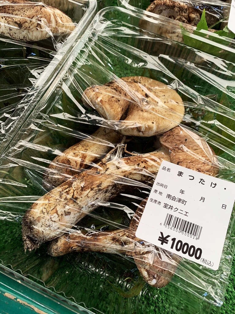 久しぶり～