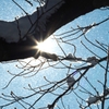 雪のち晴れ☆☆
