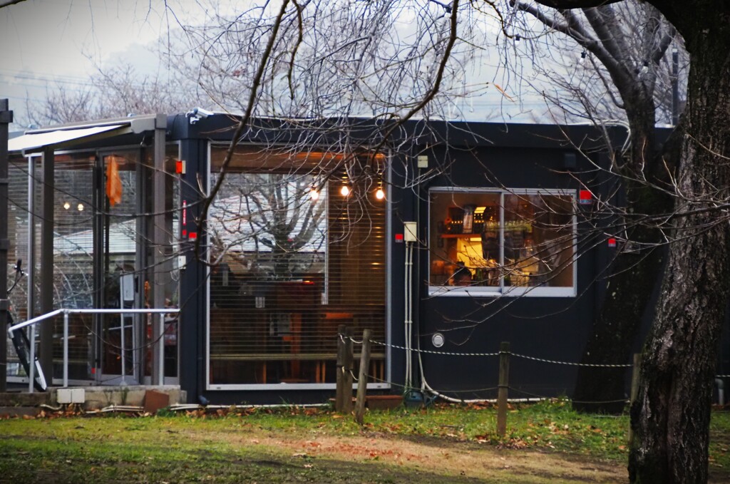 灯りが呼んでいる～ ☆