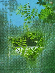 大雨の後のアート☆