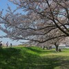 最後のお花見③