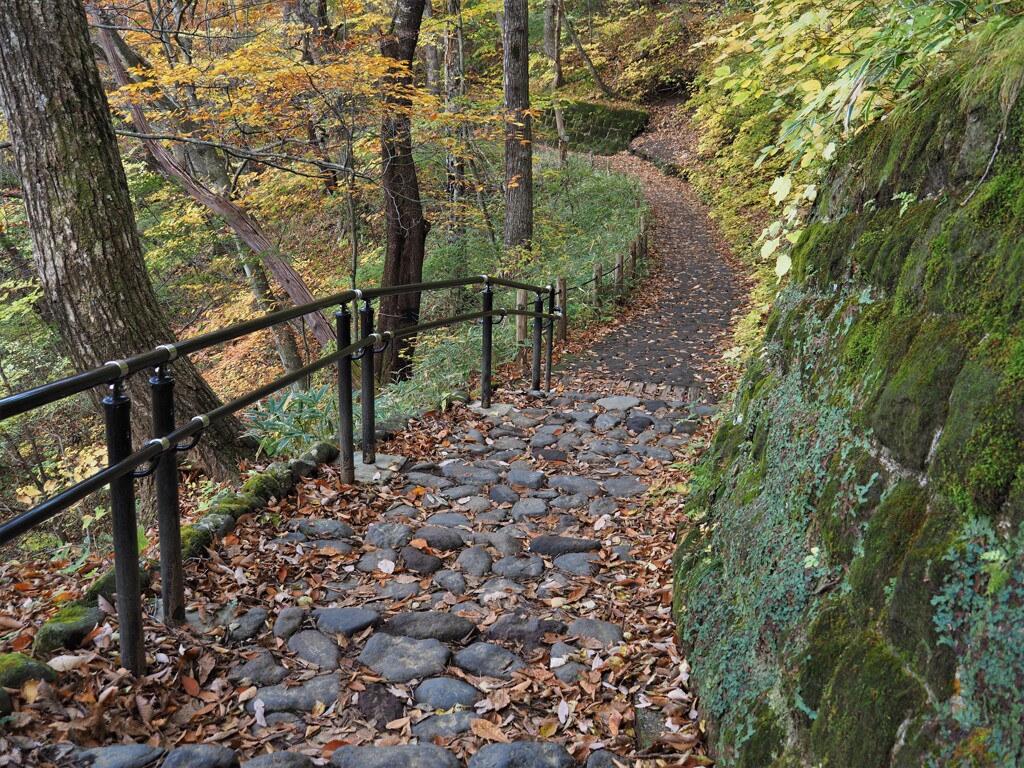 霧降ノ滝への道
