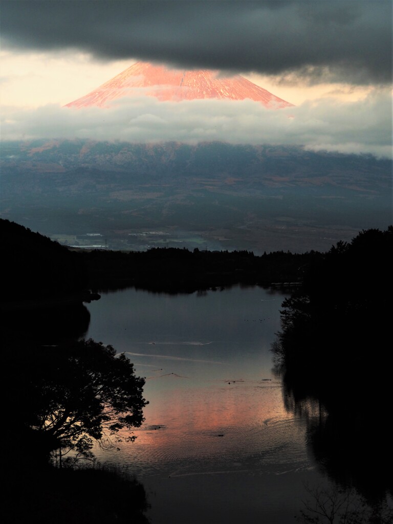 夕日を浴びる富士山の上で遊ぶ鳥たち