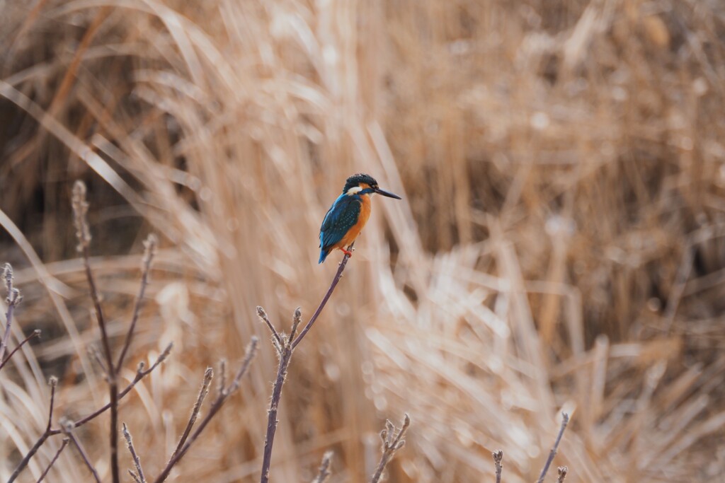 うれしい出会い♡