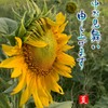 暑中見舞い申し上げます