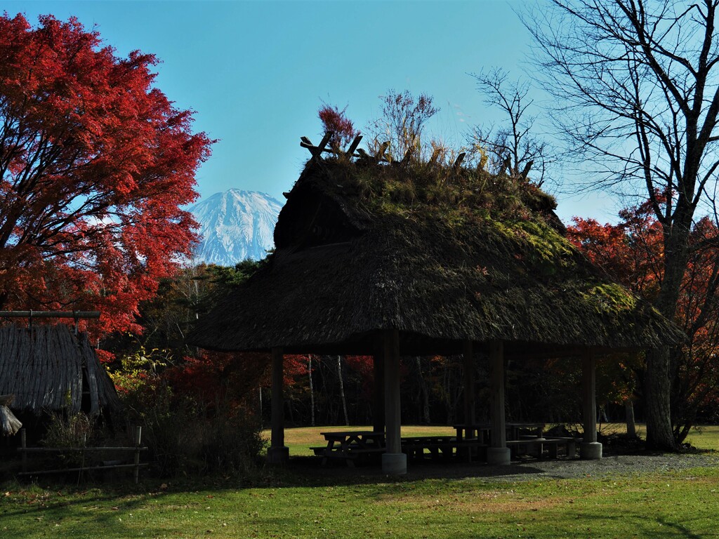 どんな鳥に会えるかな？