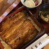 鰻のパワー