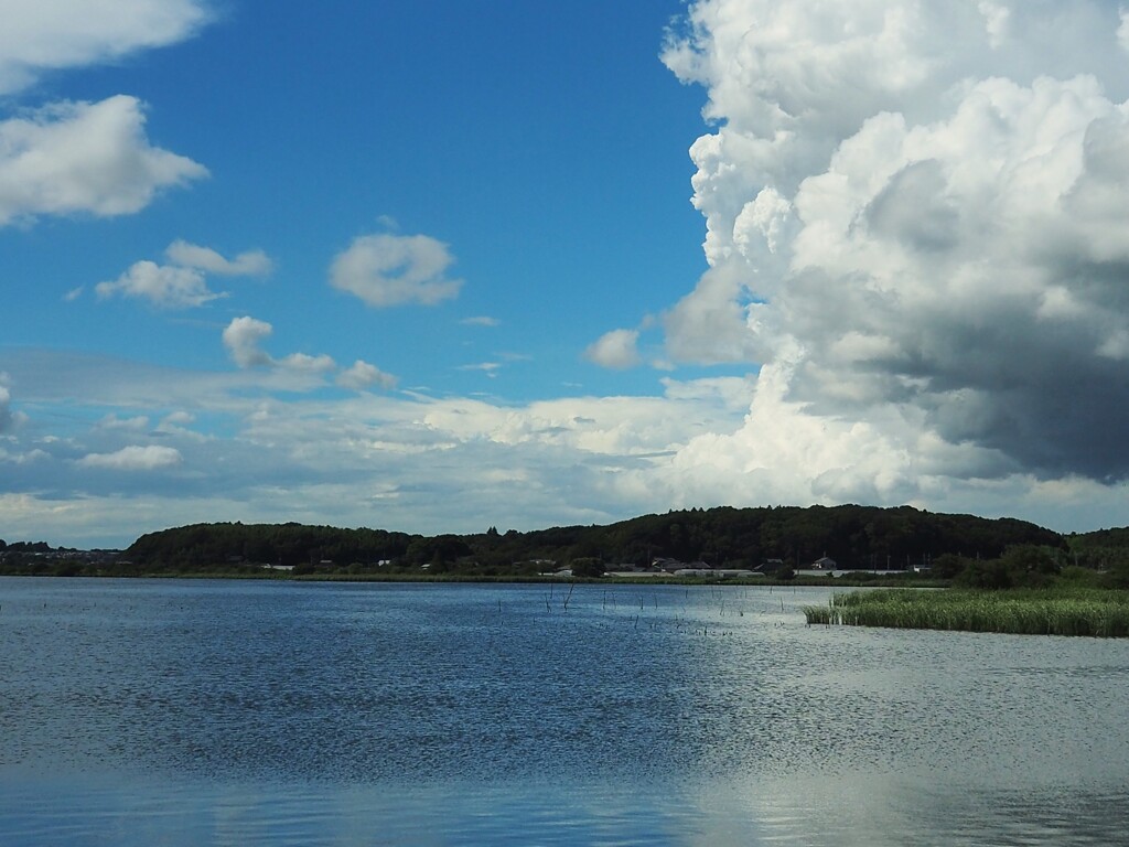 手賀沼と夏雲