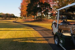 カート・ナンバー「３６」