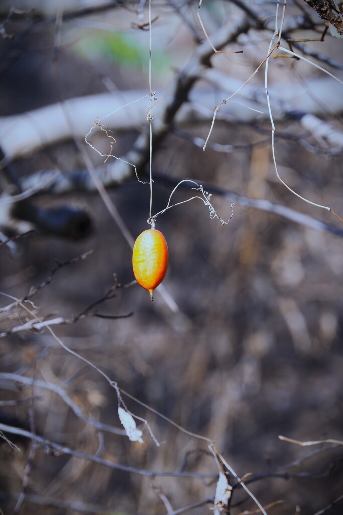 ポツンと。。。