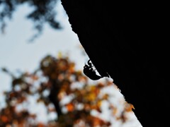 頑張るゾォーー