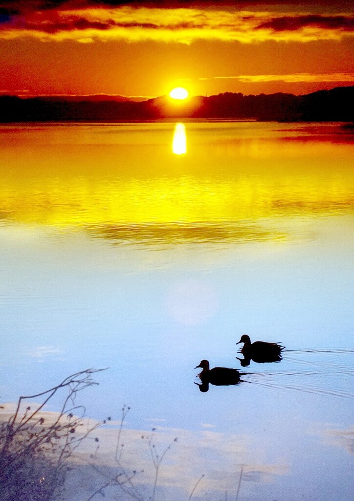 コントラストの是か非か