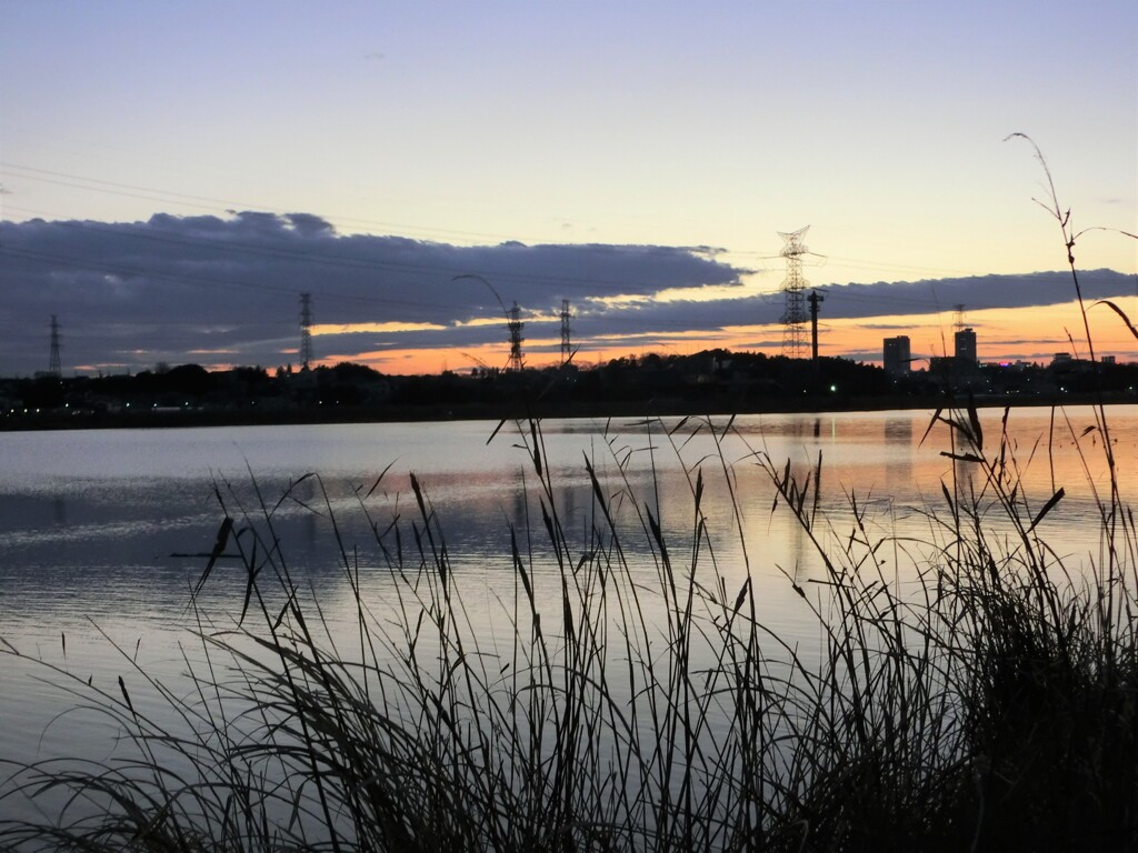 手賀沼の夕景