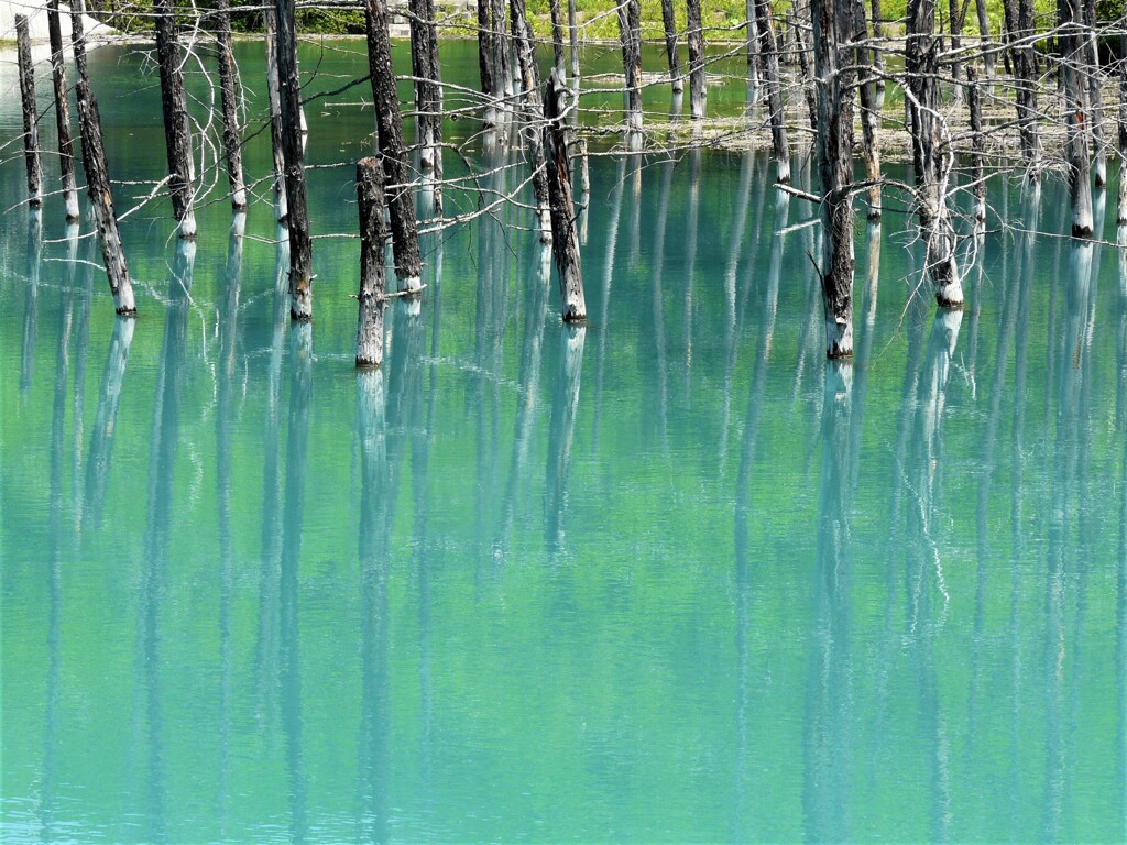 青い池
