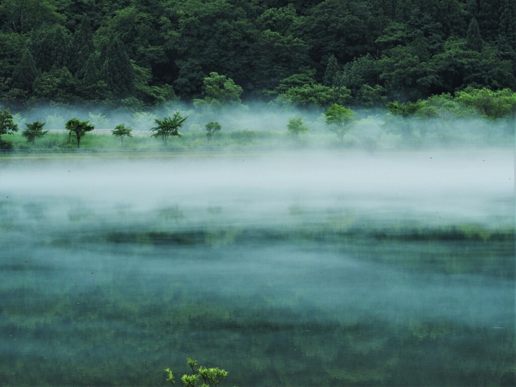 只見湖の朝