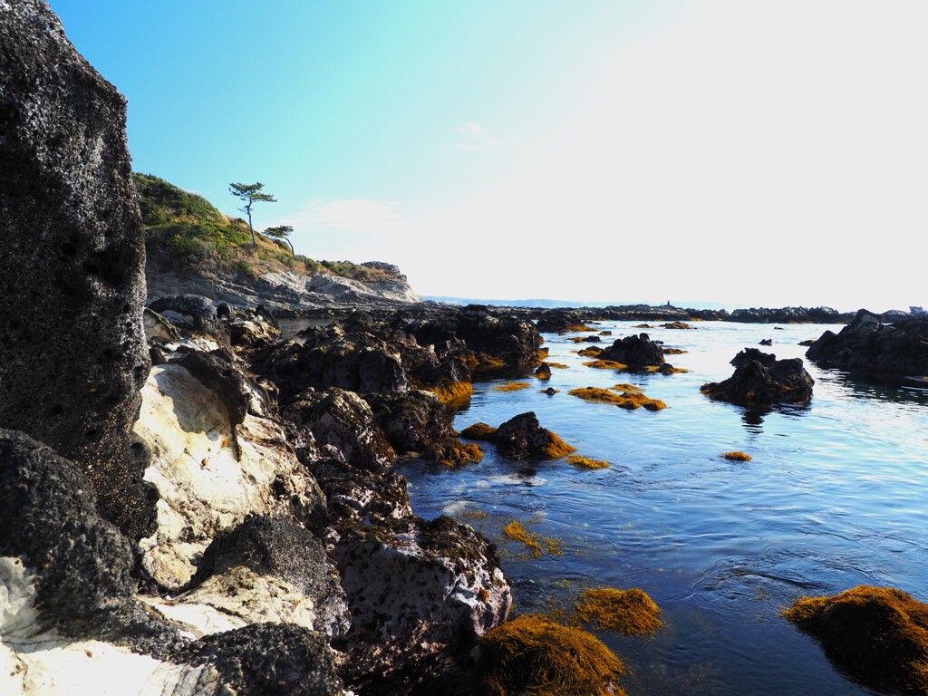 春の海②