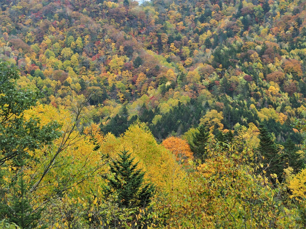 止めてください