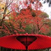 雅な紅葉