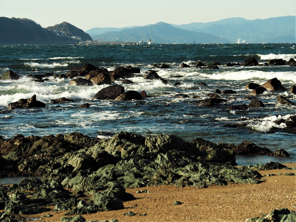 伊勢湾の荒波