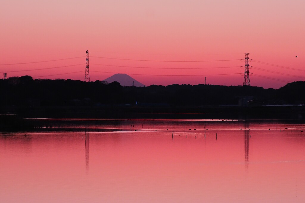 沼が眠る刻 。。。