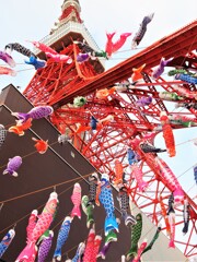 「鯉のぼり」と「さんまのぼり」 「鯉のぼり」と「さんまのぼり」