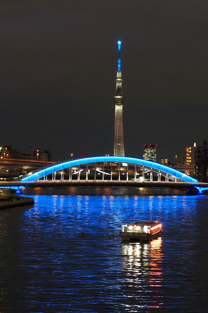 スカイツリーと永代橋