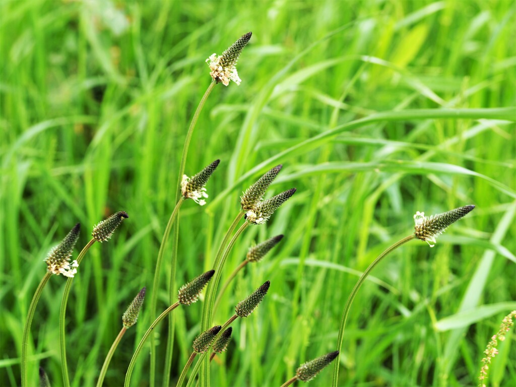 そよ風☆彡