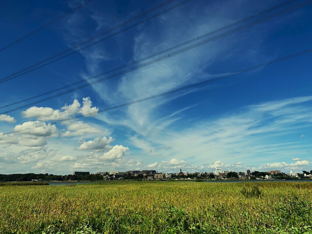 移り季の空