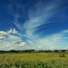 移り季の空