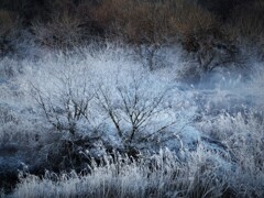 凍てつく朝（３）