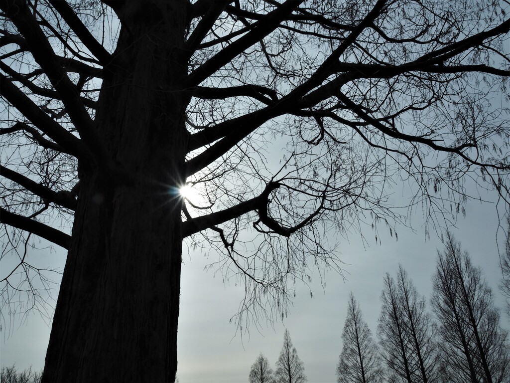 １ヶ月前の今日（２）