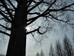 １ヶ月前の今日（２）