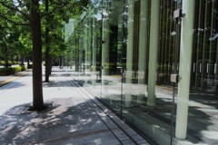 東京散歩①
