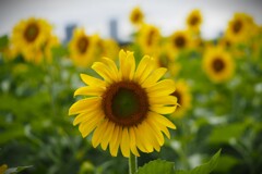今日も笑顔で^^