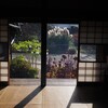 吉田家の秋の装い①