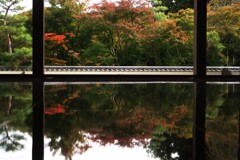 床に映える別世界