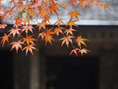 中尊寺・金色堂